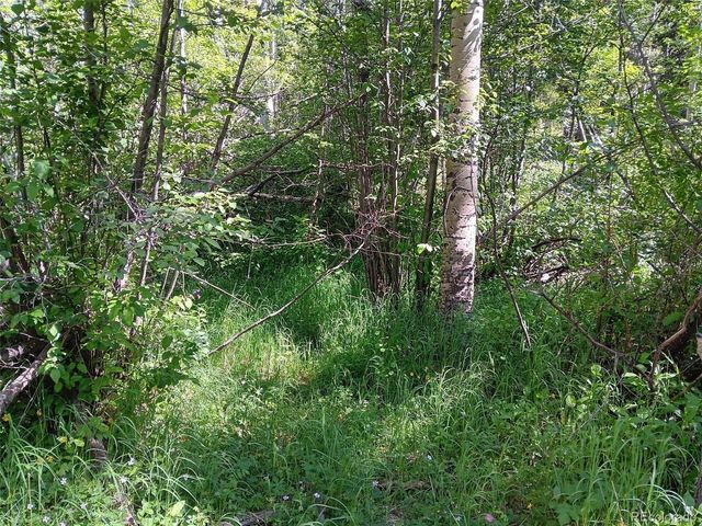 5244 Crossman Rd, Fort Garland, CO 81133