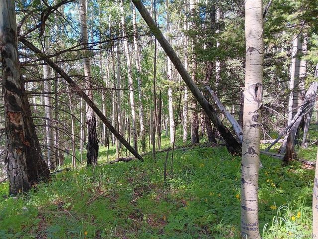 5244 Crossman Rd, Fort Garland, CO 81133