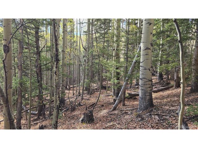 5244 Crossman Rd, Fort Garland, CO 81133