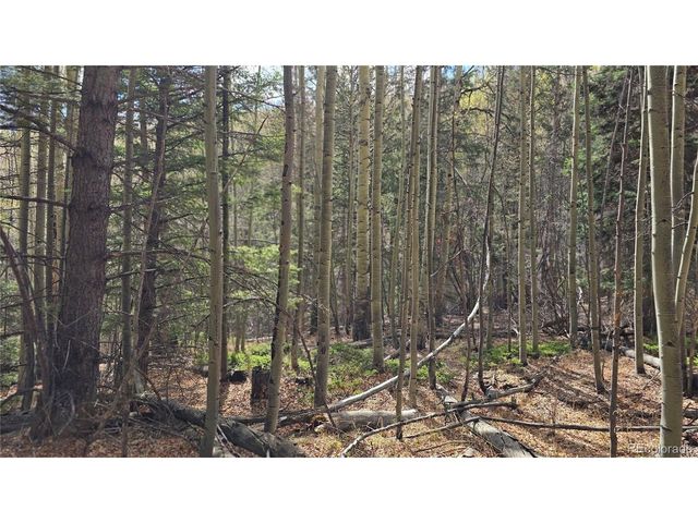 5244 Crossman Rd, Fort Garland, CO 81133