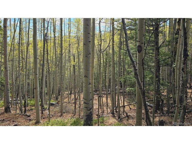 5244 Crossman Rd, Fort Garland, CO 81133