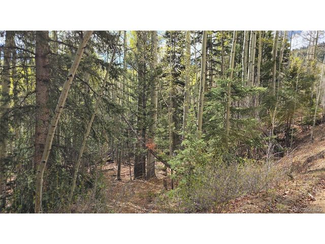 5244 Crossman Rd, Fort Garland, CO 81133