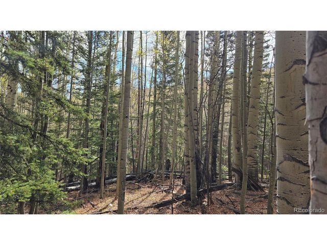 5244 Crossman Rd, Fort Garland, CO 81133