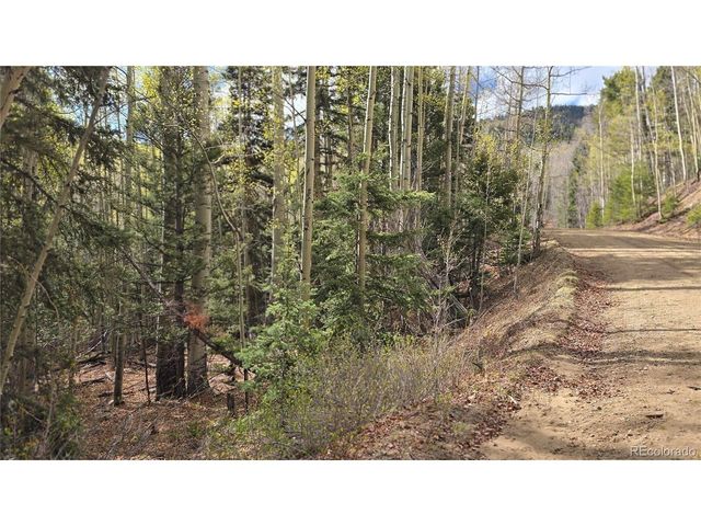 5244 Crossman Rd, Fort Garland, CO 81133