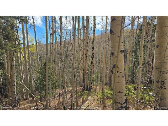 5244 Crossman Rd, Fort Garland, CO 81133