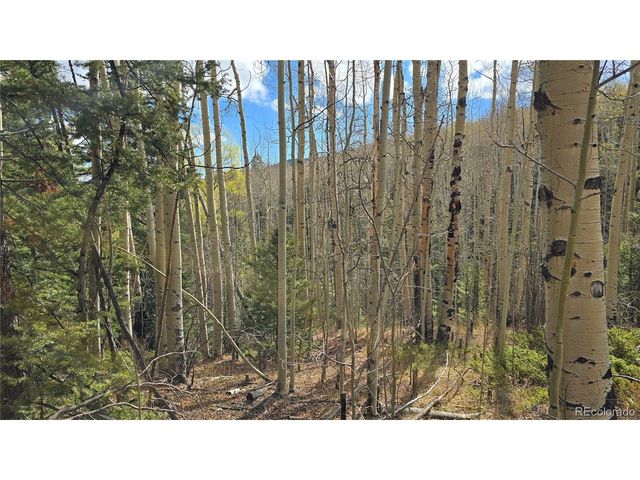 5244 Crossman Rd, Fort Garland, CO 81133