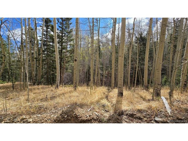 5244 Crossman Rd, Fort Garland, CO 81133