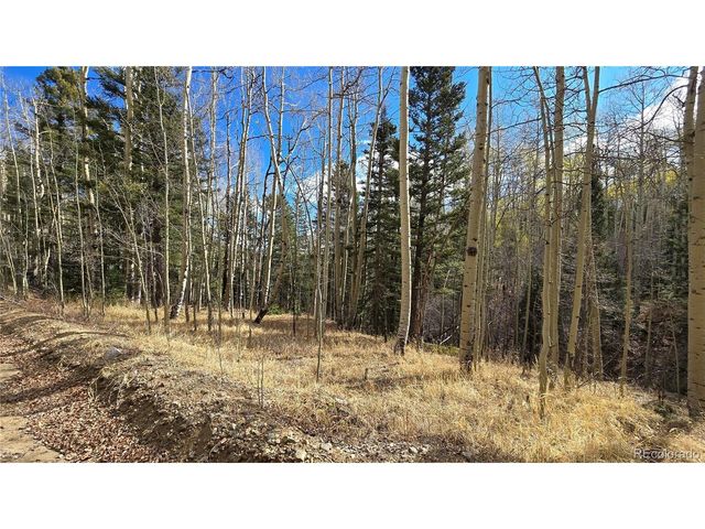 5244 Crossman Rd, Fort Garland, CO 81133
