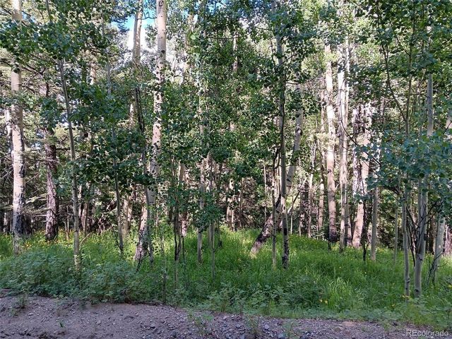 5244 Crossman Rd, Fort Garland, CO 81133