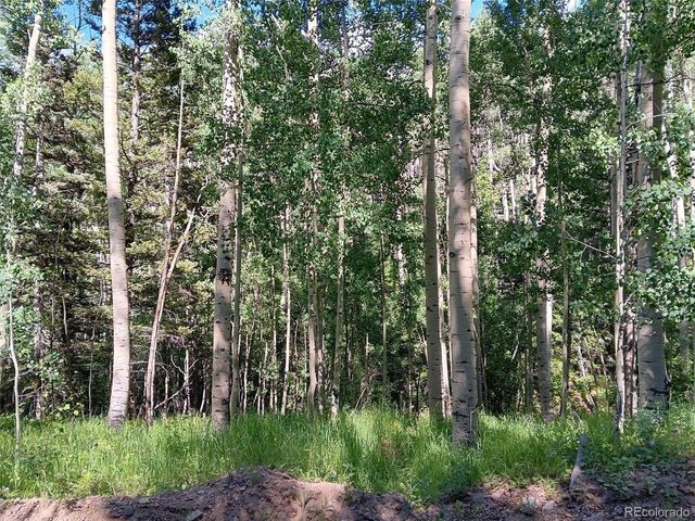5244 Crossman Rd, Fort Garland, CO 81133