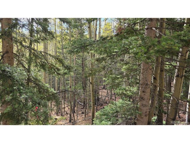 5244 Crossman Rd, Fort Garland, CO 81133