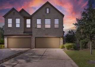 210 Cheswood Forest Place, Montgomery, TX 77316