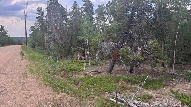 Lot 30 Lodge Pole Drive, Black Hawk, CO 80422