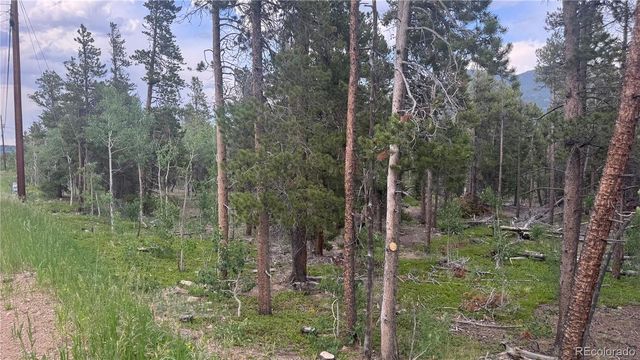 Lot 30 Lodge Pole Drive, Black Hawk, CO 80422
