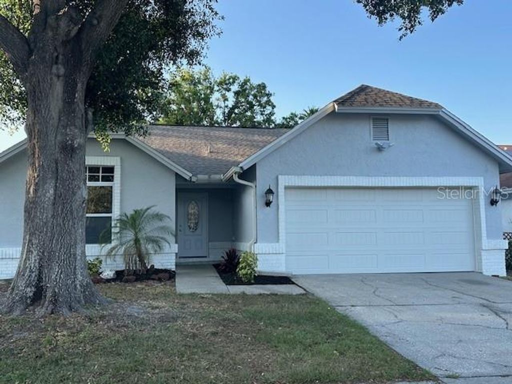 10906 CARNELIAN LANE, Riverview, FL 33578