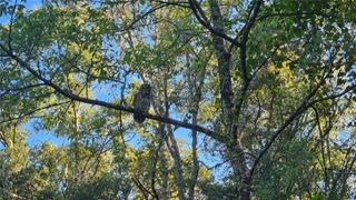 1105 CONSTITUTION WAY, Inverness, FL 34453