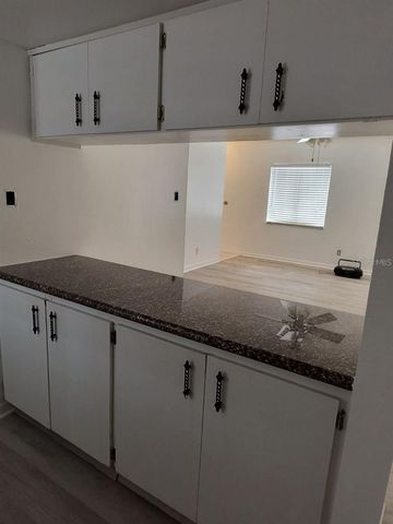 2285 RICHTER STREET, Dunedin, FL 34698