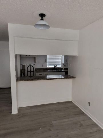 2285 RICHTER STREET, Dunedin, FL 34698