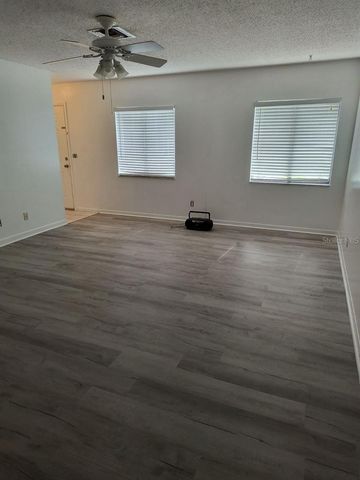 2285 RICHTER STREET, Dunedin, FL 34698