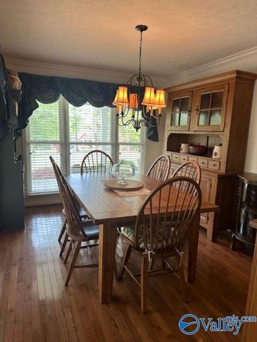 115 Riverview, Glencoe, AL 35905