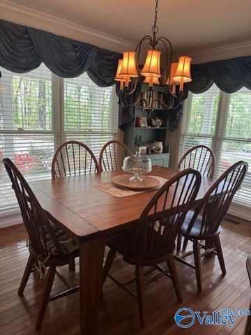 115 Riverview, Glencoe, AL 35905