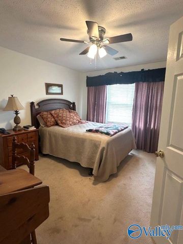 115 Riverview, Glencoe, AL 35905