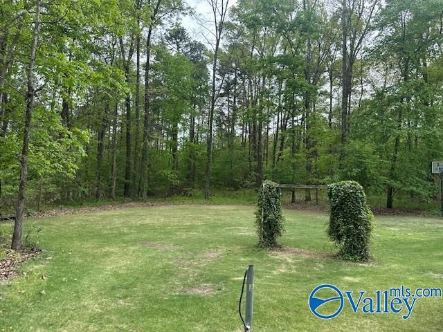 115 Riverview, Glencoe, AL 35905