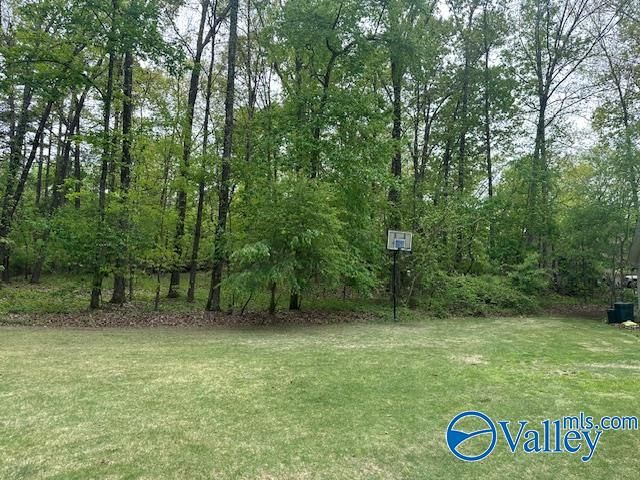 115 Riverview, Glencoe, AL 35905