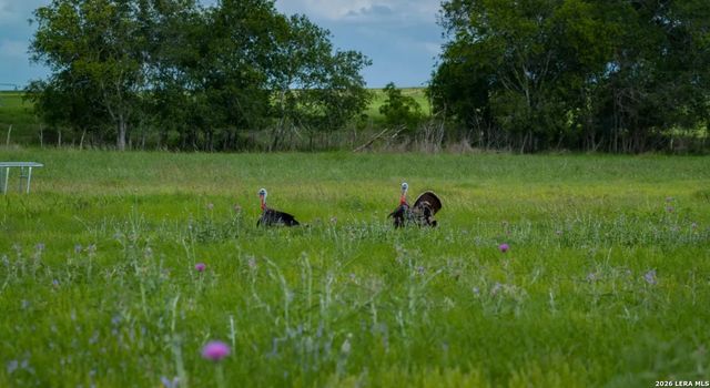 1769 Farm to Market Road 536, Pleasanton, TX 78064