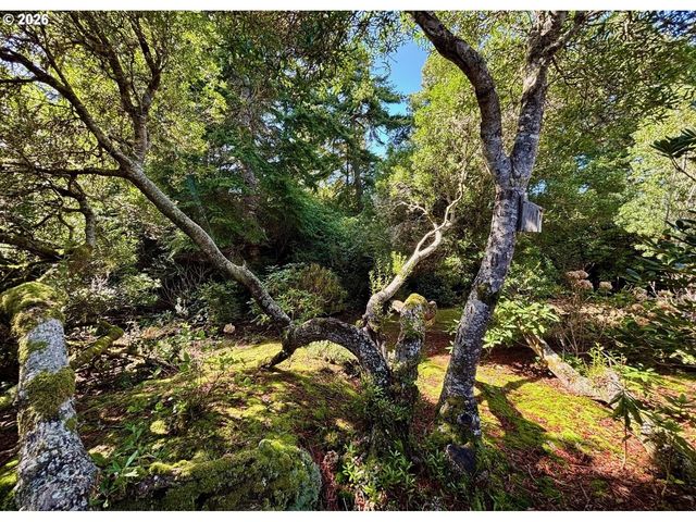 5009 KELSIE Ct, Florence, OR 97439