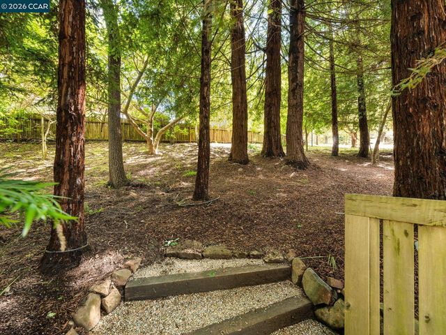 6 Dorothy Pl, Berkeley, CA 94705