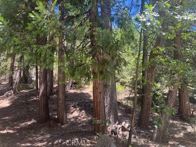 27476 Cedarwood Court, Lake Arrowhead, CA 92352
