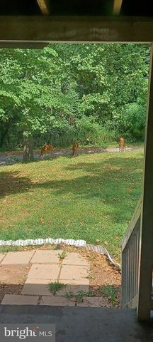 318 ULYSSES WAY, Linden, VA 22642