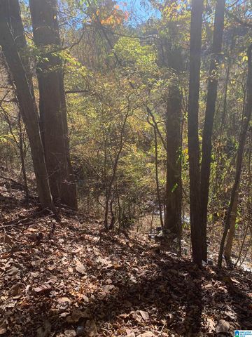 2704 ALTON ROAD, Irondale, AL 35210