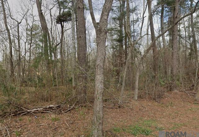 8 Tabony Ct, Walker, LA 70785