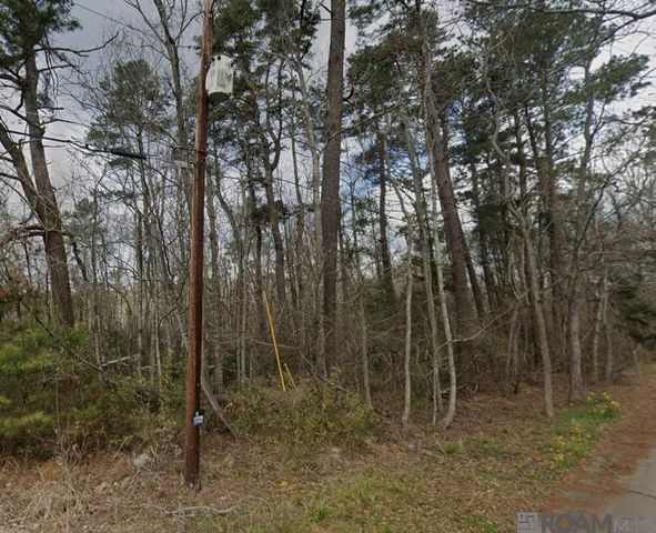 8 Tabony Ct, Walker, LA 70785