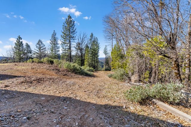 34275 Canyon View Ct, Alta, CA 95714