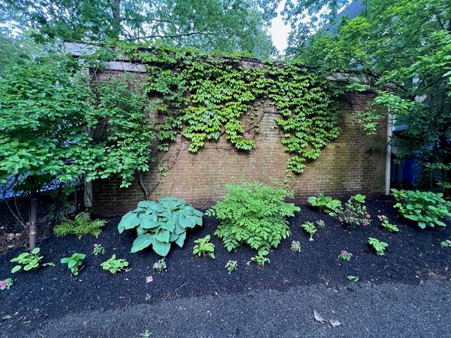 117 Sutherland Rd. 117, Boston, MA 02135