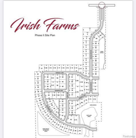 7165 Donegal, Davison Township, MI 48423