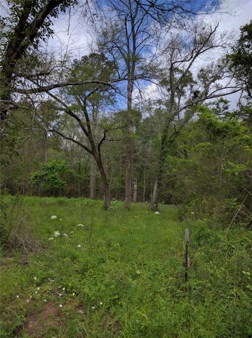 50G Jock Street, Livingston, TX 77351