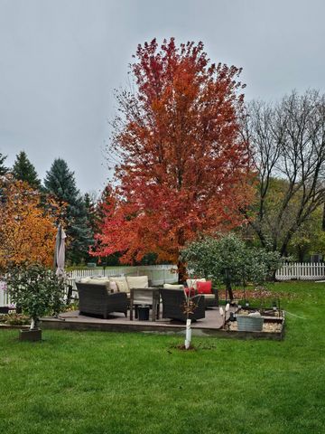 9463 Naughtor Avenue NE, Otsego, MN 55330