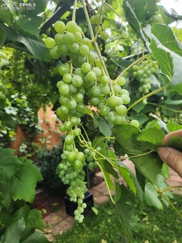 2411 Providence Circle, Colorado Springs, CO 80909