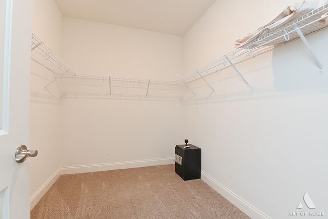 13161 Eliza Court, Lemont, IL 60439