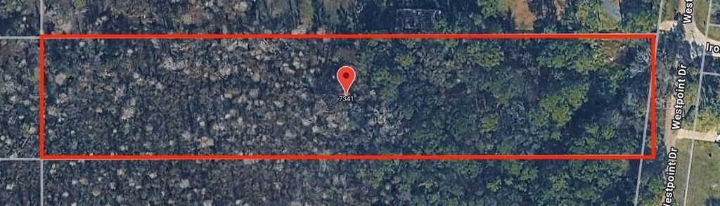 7341 WESTPOINT DRIVE, Wesley Chapel, FL 33544