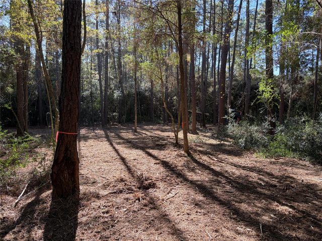 28655 Joseph Road, Hockley, TX 77447