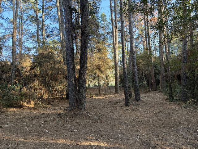 28655 Joseph Road, Hockley, TX 77447