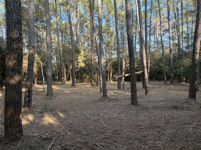 28655 Joseph Road, Hockley, TX 77447