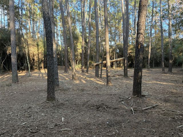 28655 Joseph Road, Hockley, TX 77447