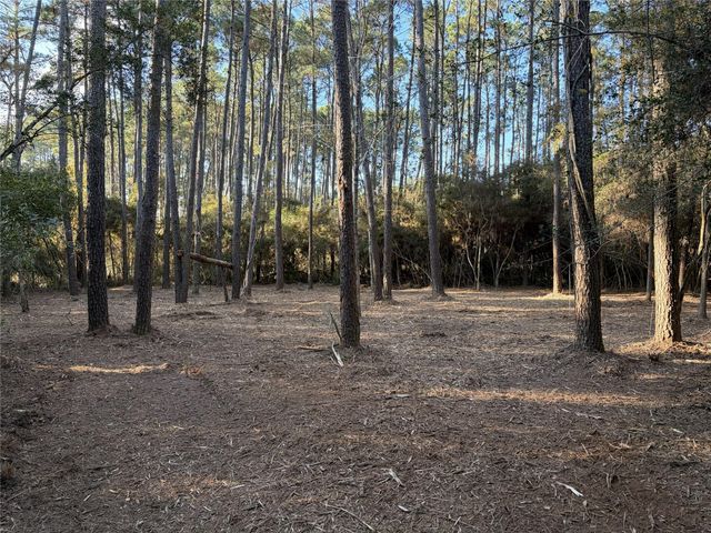 28655 Joseph Road, Hockley, TX 77447