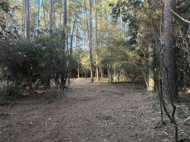 28655 Joseph Road, Hockley, TX 77447